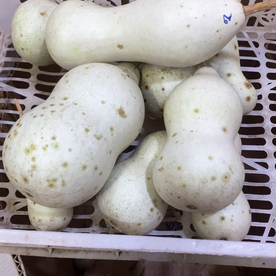 丙*文玩葫芦青皮葫芦