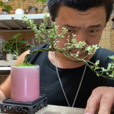 红陶萧*一物一拍所见即所得146