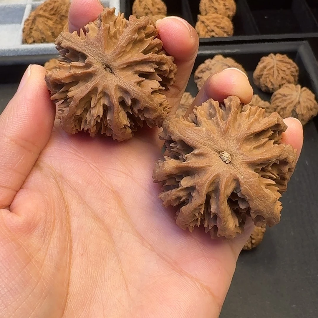 青***樾核桃突突突突突突突突突突突突突突