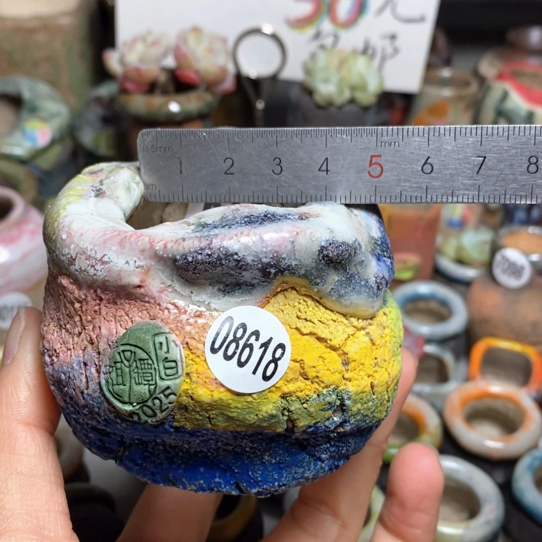 花盆拍3送一个小礼物