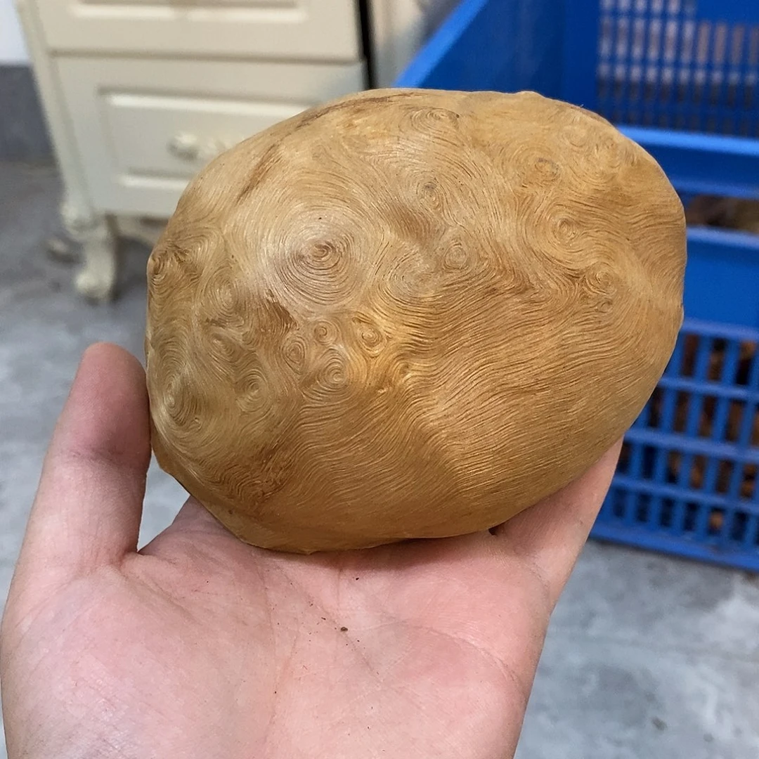 地****荔枝木荔枝木开口
