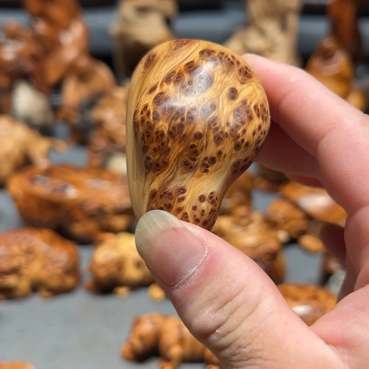 柏木（崖柏）点点关注