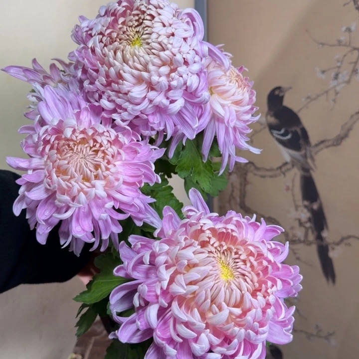 完全开放K4444444