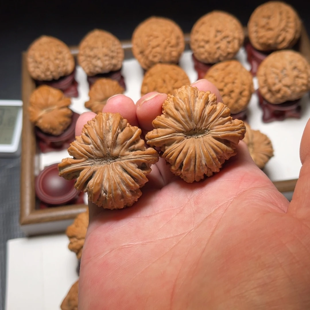 文玩核桃把件毕业供桥楼核桃尺寸45