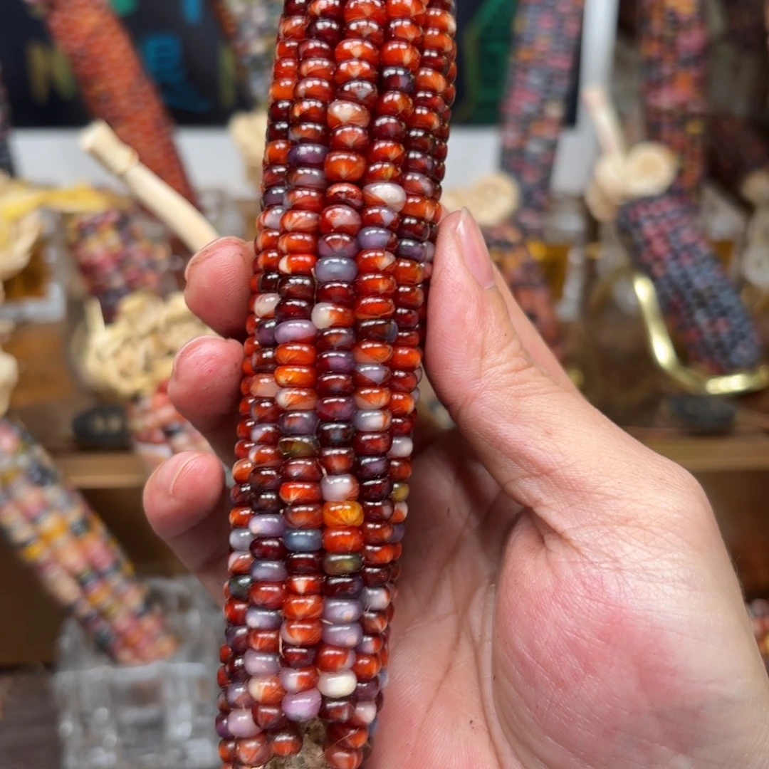 柏香籽/百香籽吊坠想****树