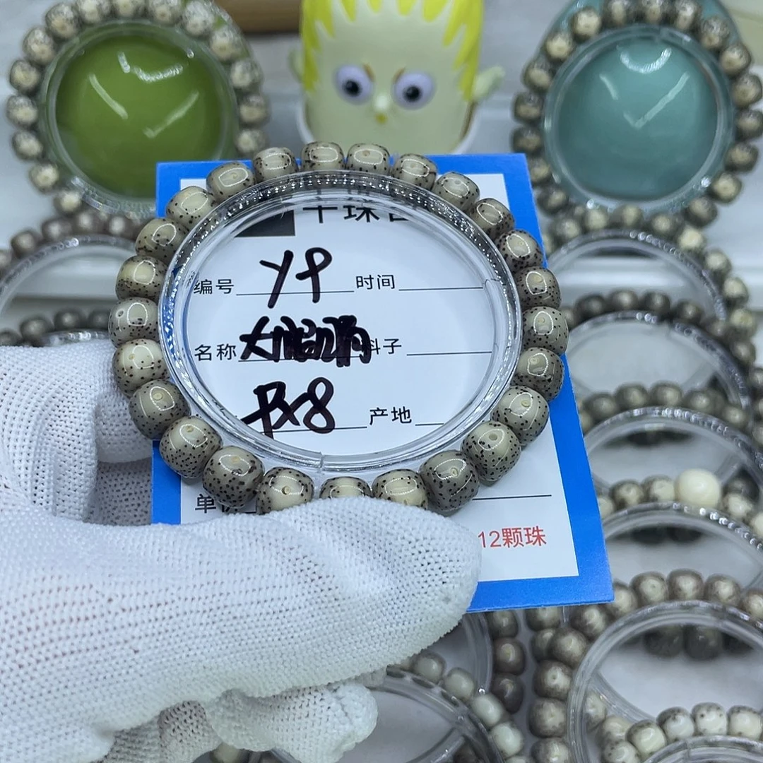 菩提籽类Y9大眼睛