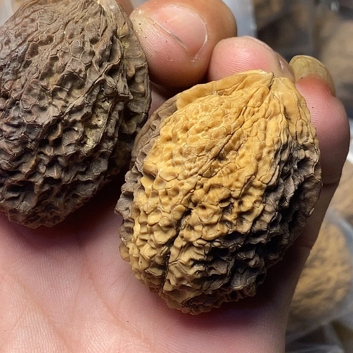 文玩核桃把件云南铁核桃56