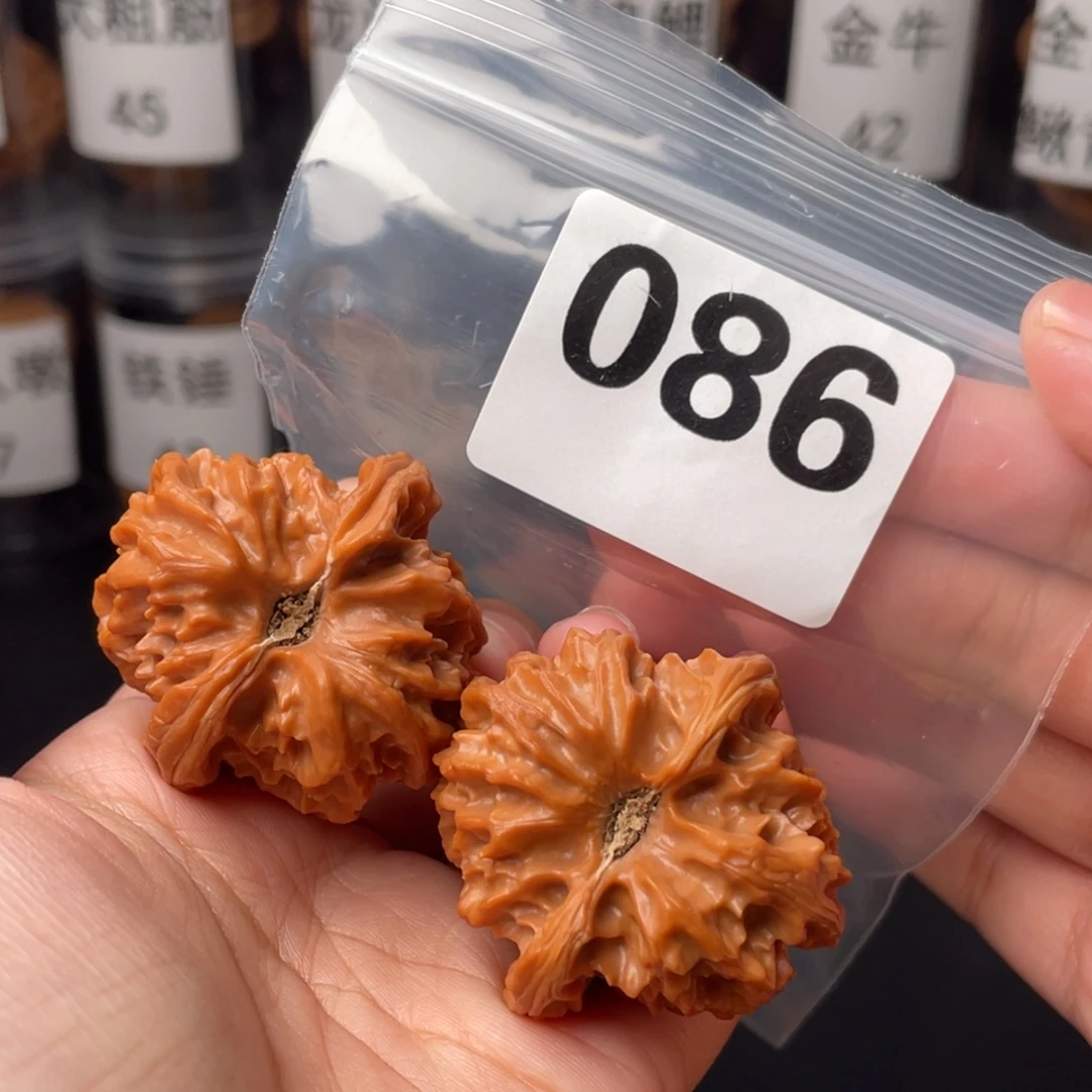 文玩核桃把件39曹大龙