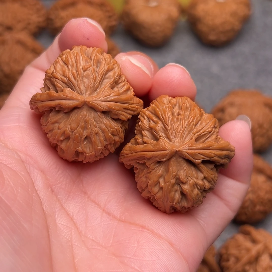 把件文玩核桃精品白狮子36+全品重38克