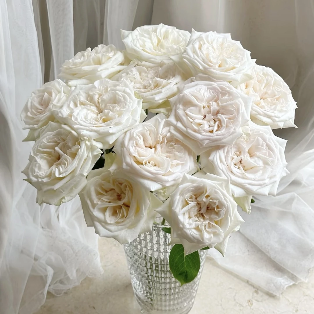 白荔枝10枝+3扎洋牡丹+1扎配草套餐（一单中通两单京东）