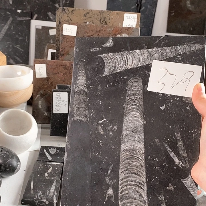 商***课角石化石茶盘干泡台