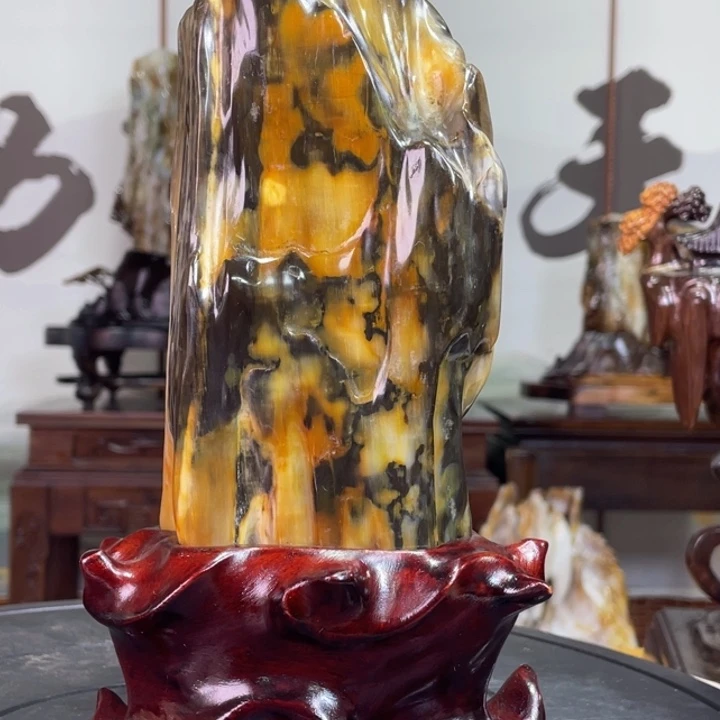 硅化玉未镶嵌珠宝奇石高25