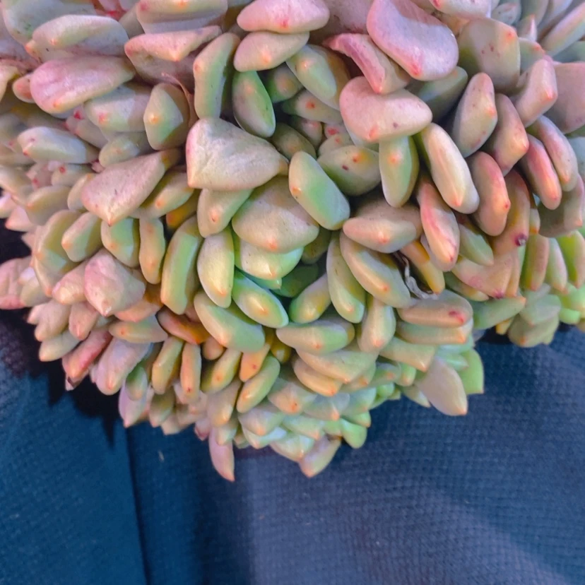 【闪购商品】元****^111111