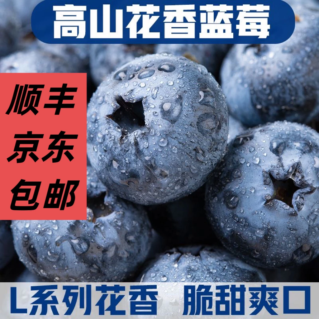 【送3盒】LM蓝莓鲜果云南高山花香品种花青素水果100g/盒