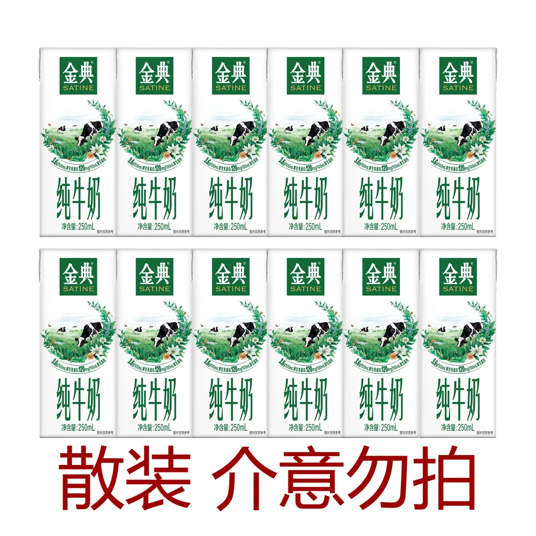 伊利 【散装】2月金典纯牛奶250ml*12营养早餐成人学生纯奶