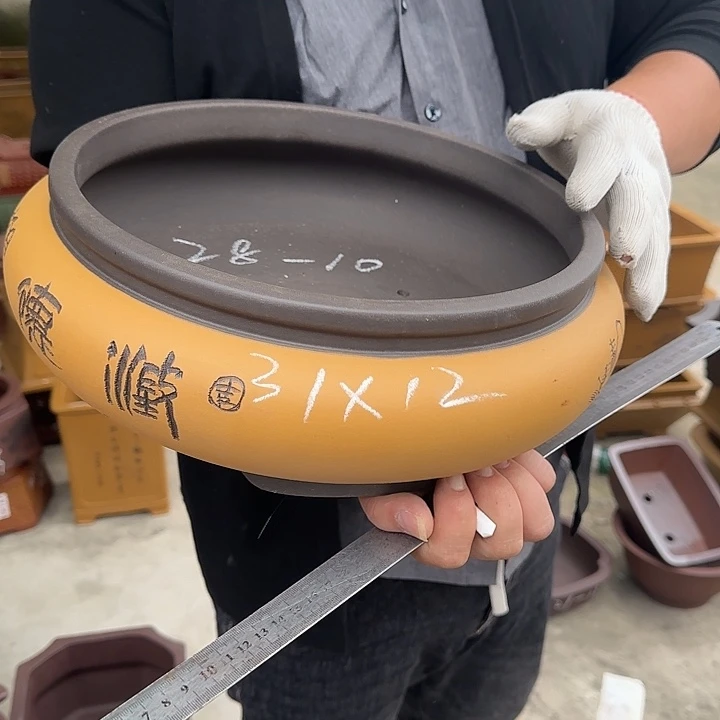 这是什么神仙爱情