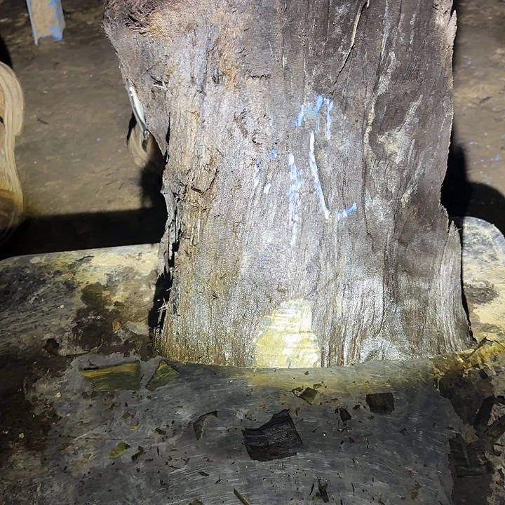 森***灵啊啊啊啊啊啊啊啊啊