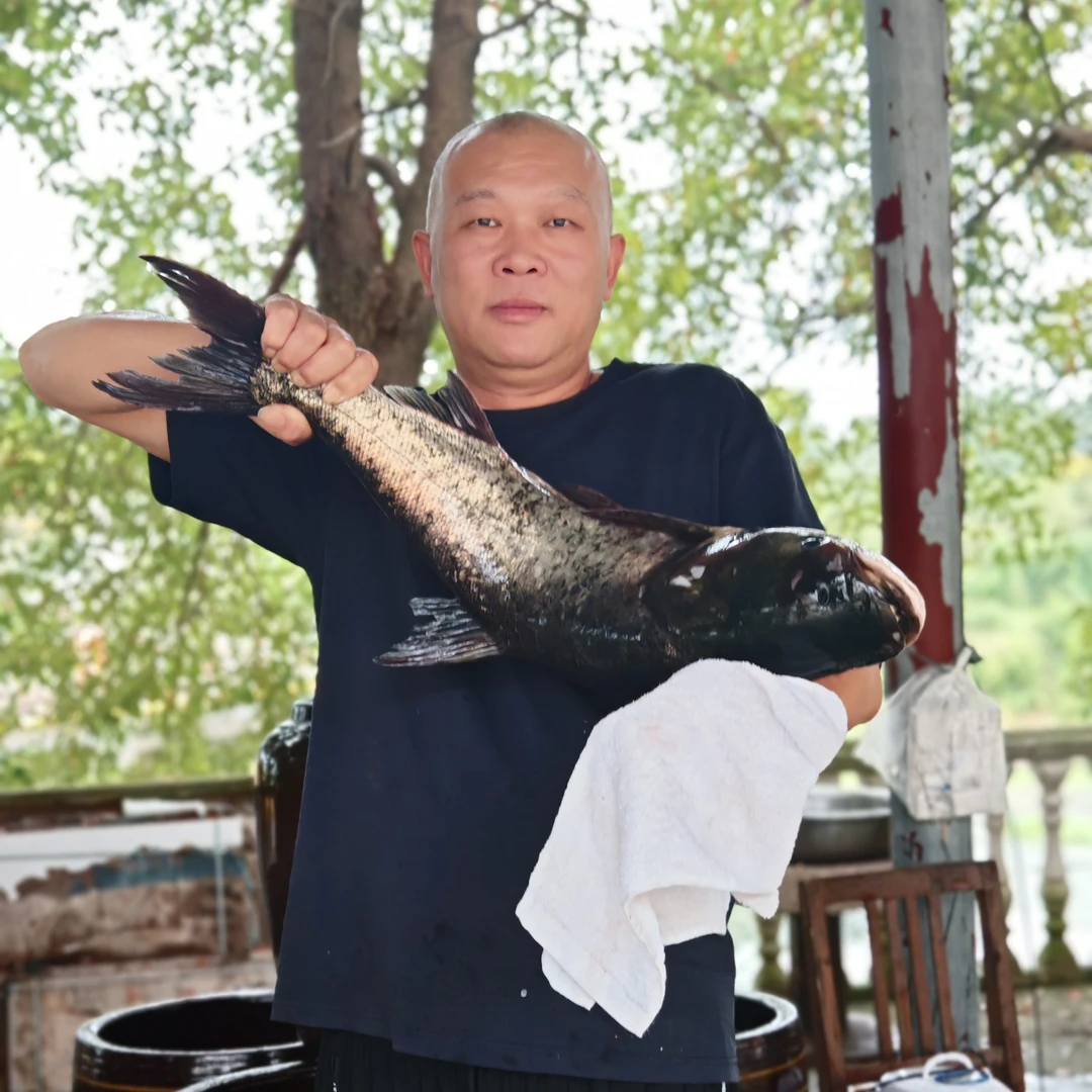 信阳饮用水源花鲢（胖头鱼）坛子咸鱼块3斤传统工艺腌制小时候味道