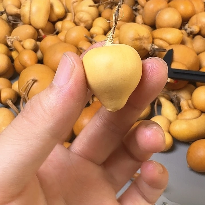 湖***婵木质非金属321000