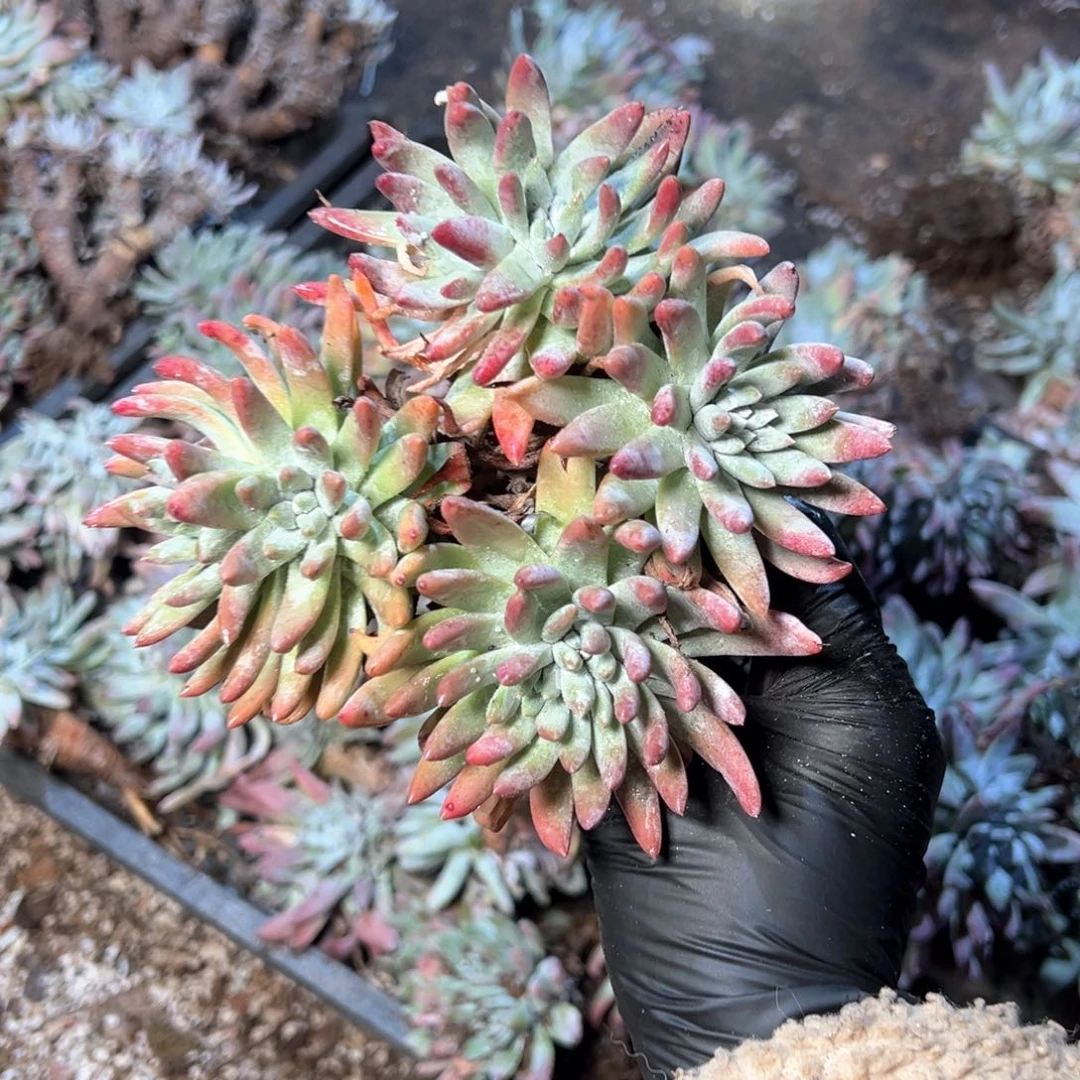 6715哈哈哈哈哈哈哈哈哈