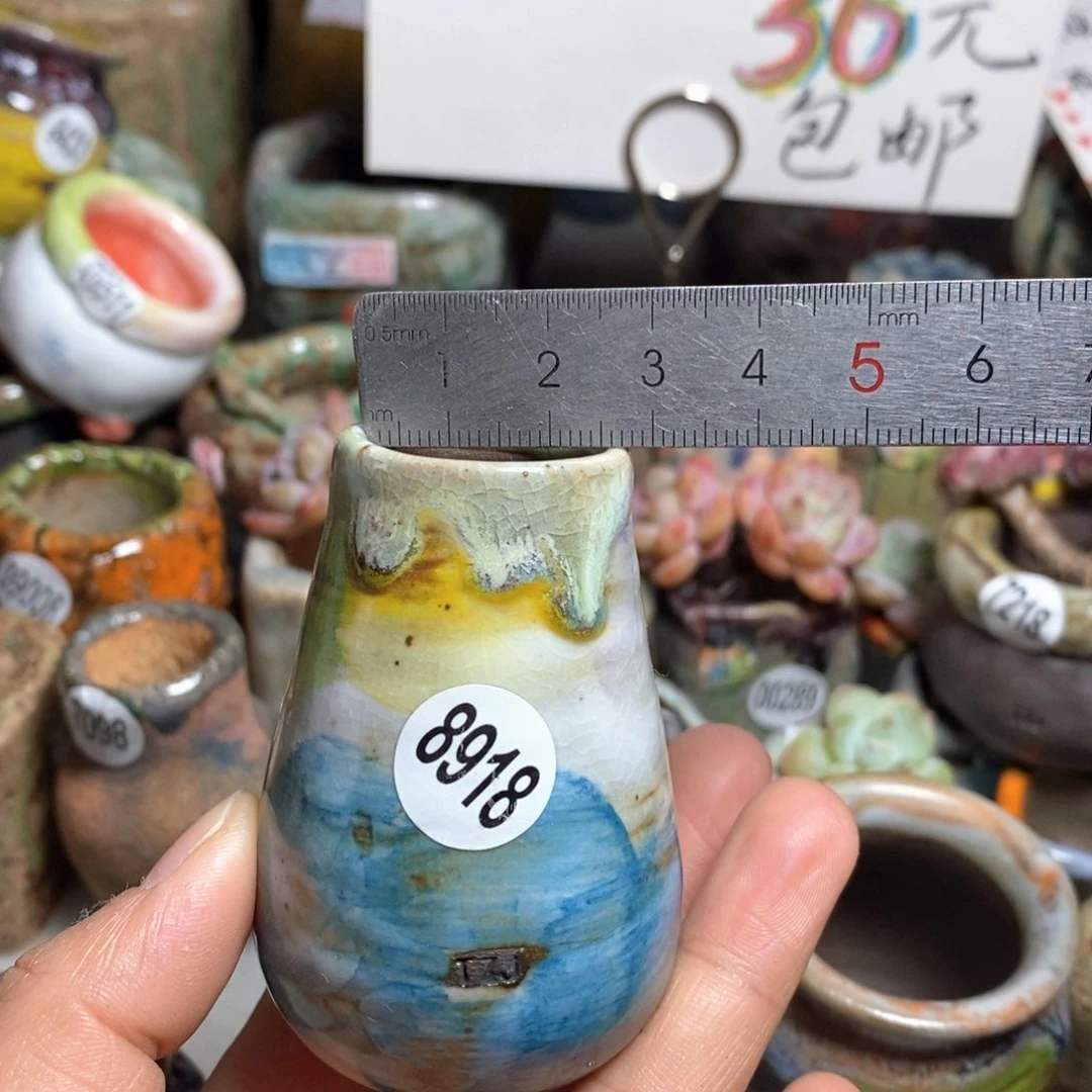 花盆拍5送一个小礼物