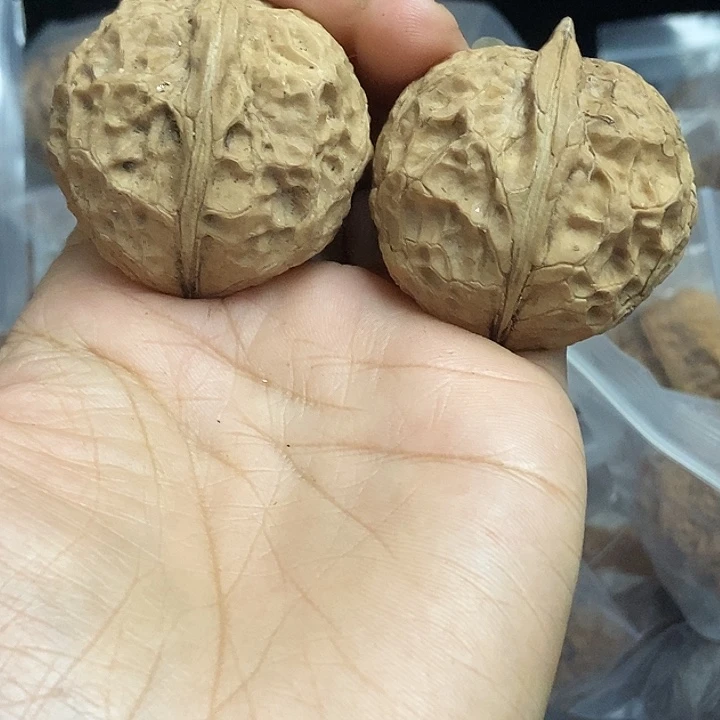 文玩核桃把件云南铁核桃基地54