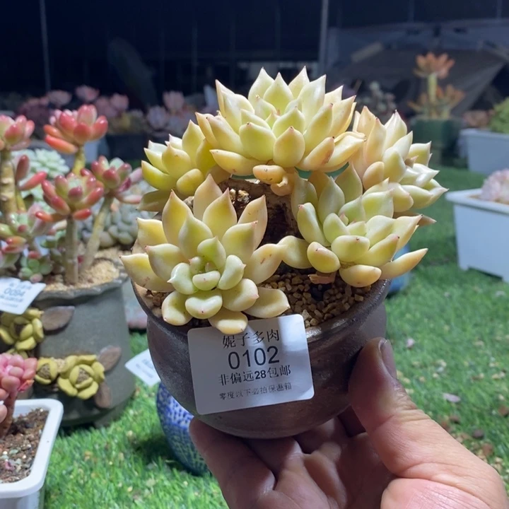 0102啊啊啊啊啊啊啊啊啊啊