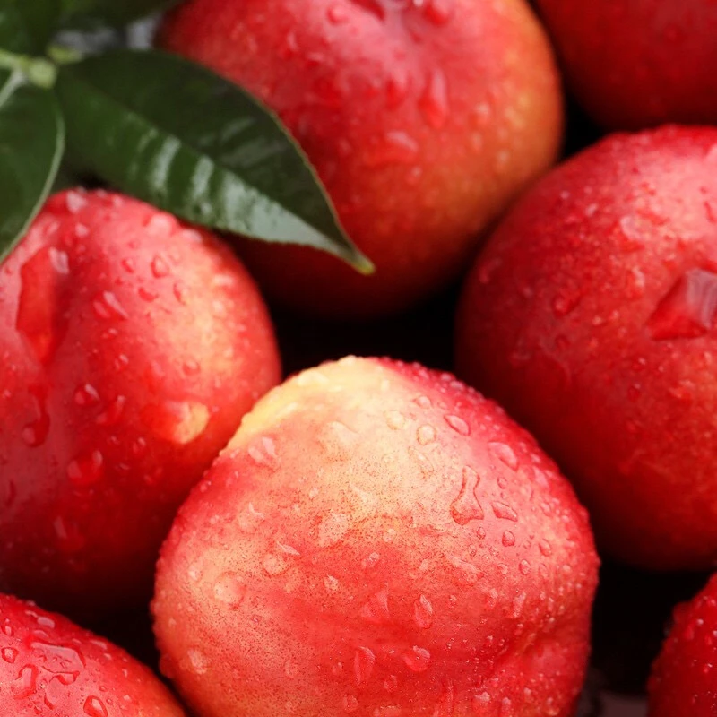 【次日达】山东油桃618活动买2斤送1斤当季新鲜水果桃子山东省