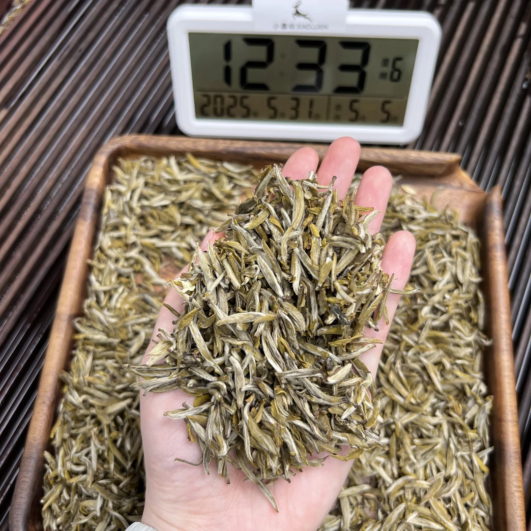 茉莉金龍毫 小鹿收茶 茉莉花茶 5月31