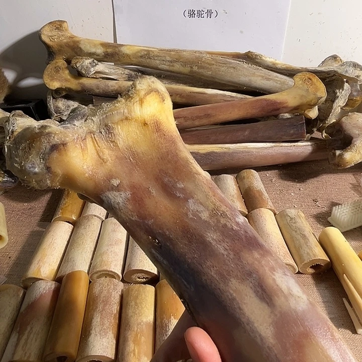 墨*yyhu前大腿整根整根整根