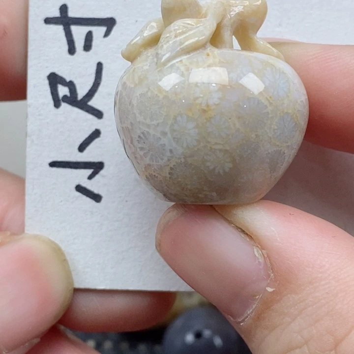 颈饰未镶嵌硅化珊瑚（珊瑚玉）