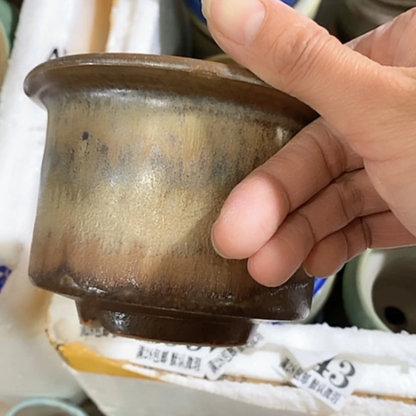 【闪购商品】红陶口9