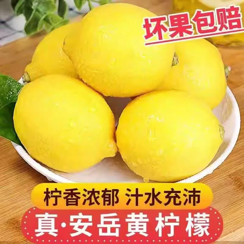 柠檬鲜果5枚装鲜香爆汁酸爽新鲜黄柠檬安岳农家生态种植水果