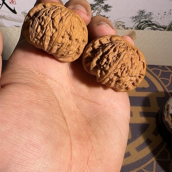 核桃010号 闷白。福利
