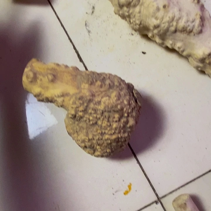 阿***黑黄杨木等多种材料