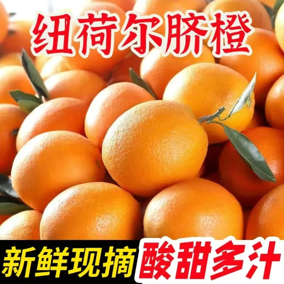 四川纽荷儿脐橙家乡特鲜嫩多汁产地直发包邮到家儿时的味道