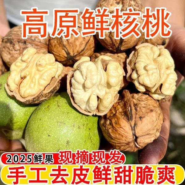 正宗四川大凉山鲜核桃当天去皮老树去青皮新鲜湿核桃孕妇嫩现摘