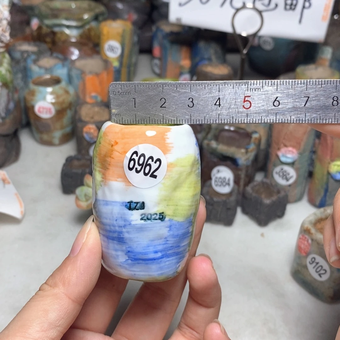 拍3送一个小礼物