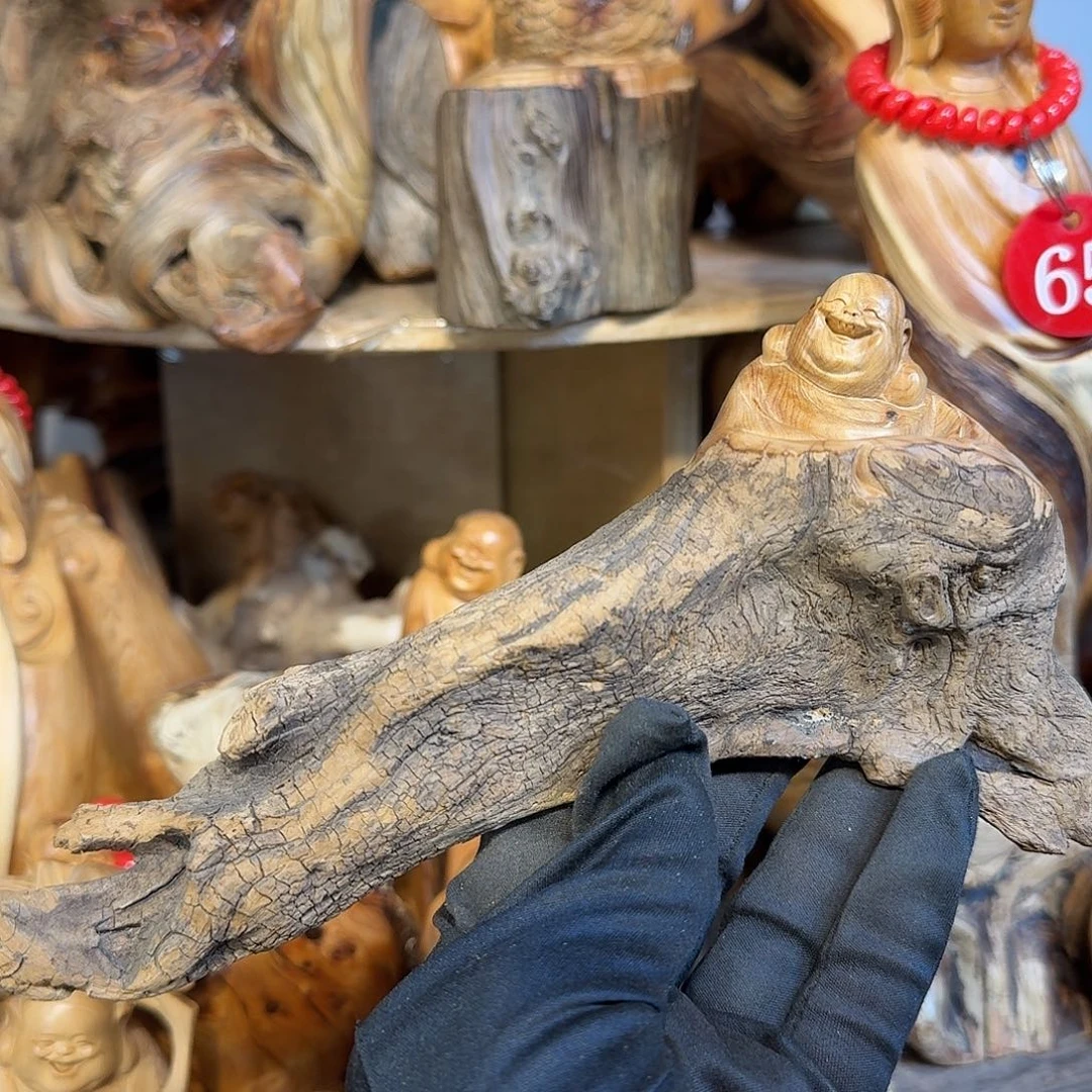 柏木（崖柏）666666666