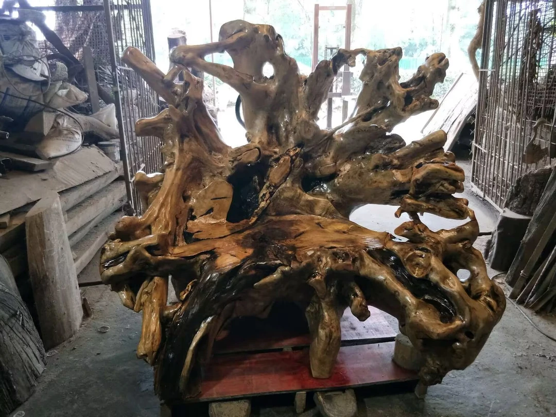 青城随形根雕摆件枯木实木木雕