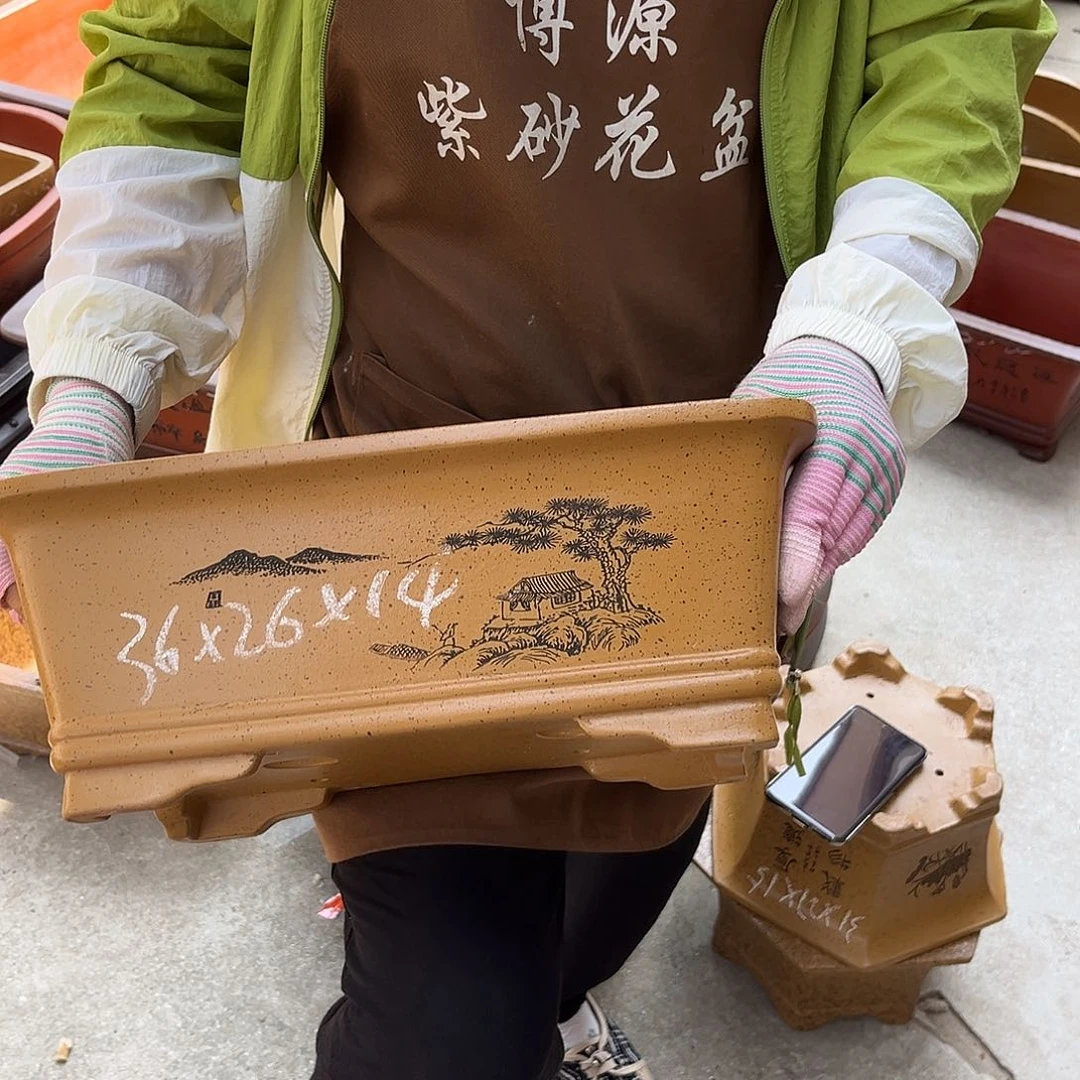 紫砂花盆盆景艺术