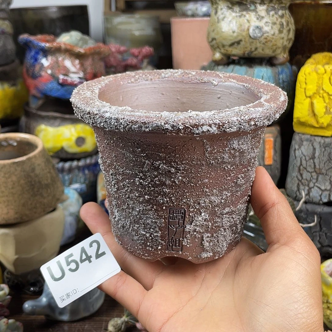 默认微次 元旦福利 坛子姐花盆