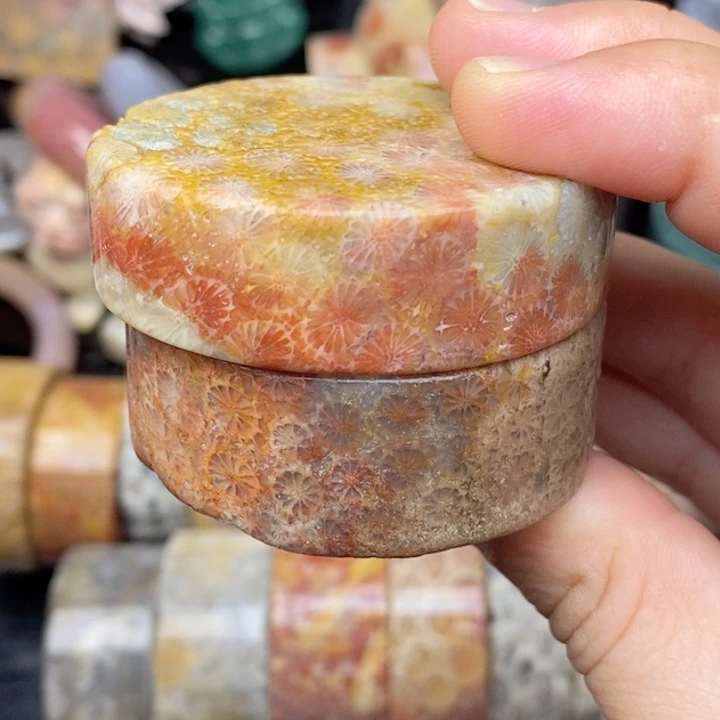 硅化玉颈饰未镶嵌
