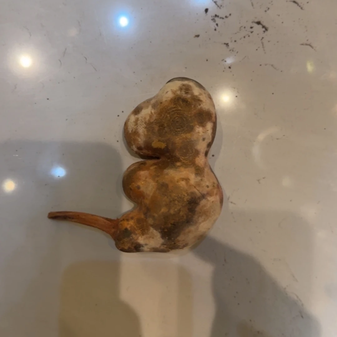 超***哈哈哈哈哈哈哈哈葫芦