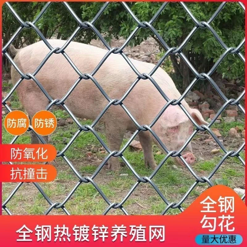 加粗热镀锌钢丝网勾花网铁丝网养鸡鸭狗牛羊围栏网果园菱形防护网
