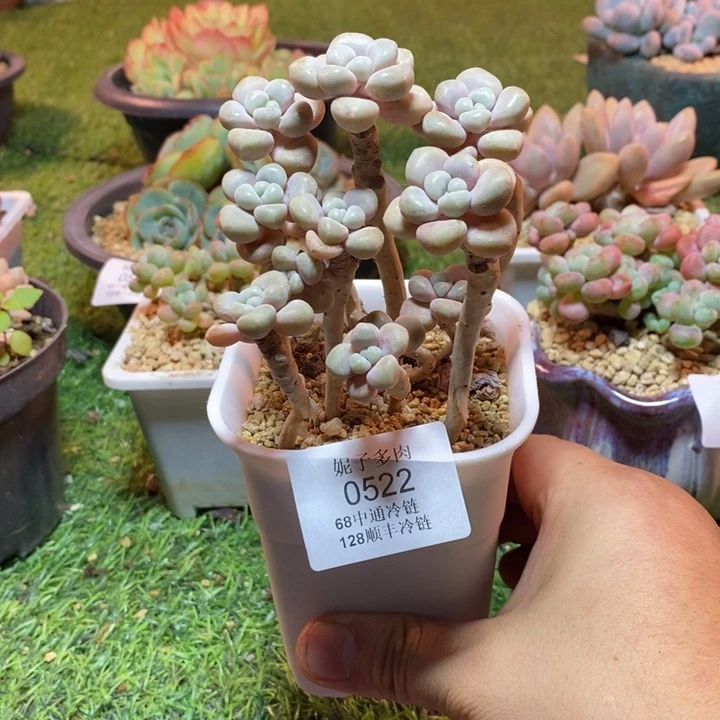 0522啊啊啊啊啊啊啊啊