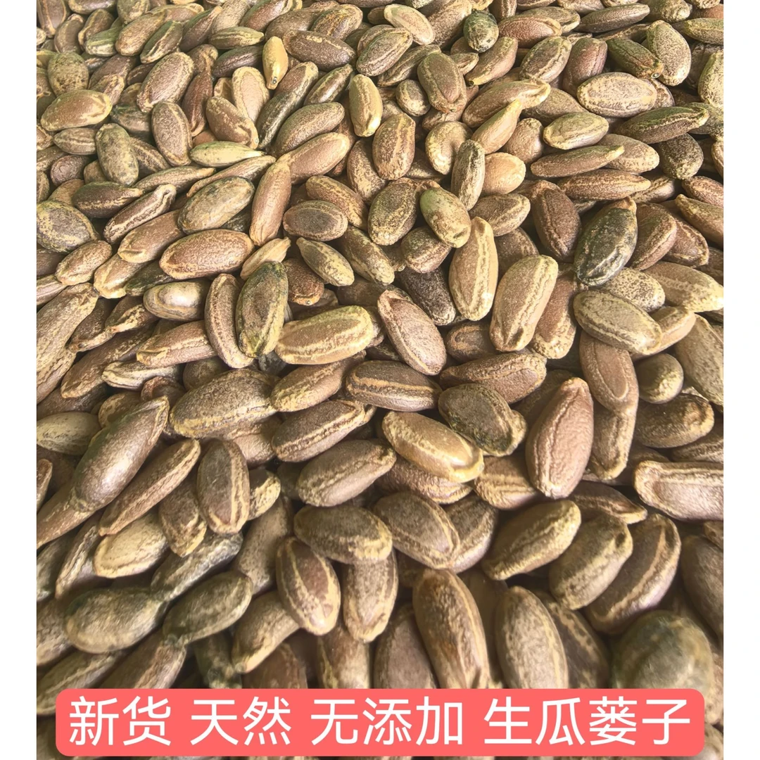 野生瓜蒌子吊瓜子当季新货原产地直发货大颗粒野生瓜蒌子全国包邮