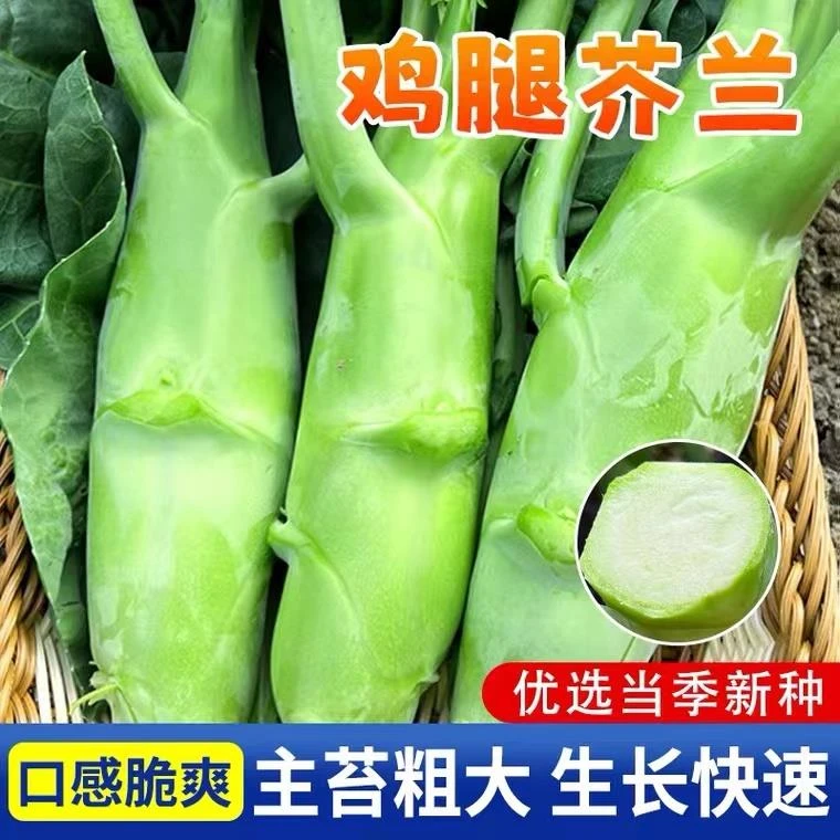 【满5包包邮】甜脆鸡腿芥蓝种子粗条籽芥兰广东四季菜籽大菜秋季