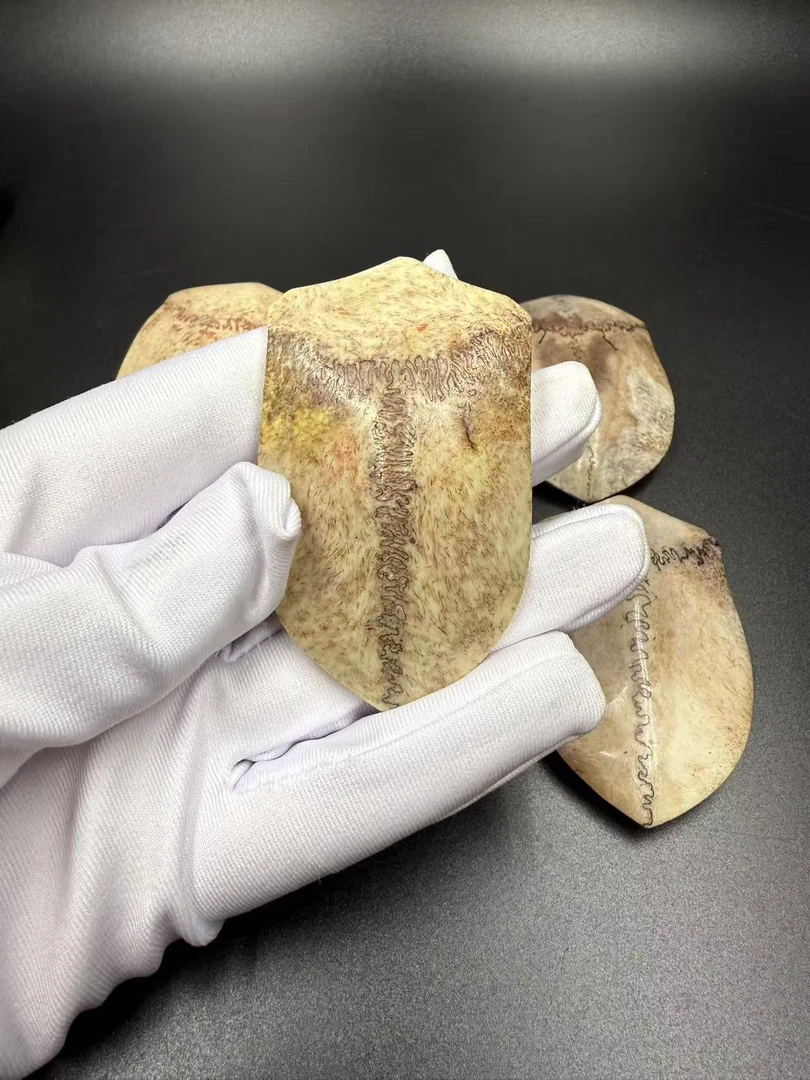 919 乎乎 三界 随行牌