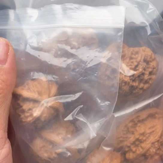 桃核吊坠八*～望月狮子头